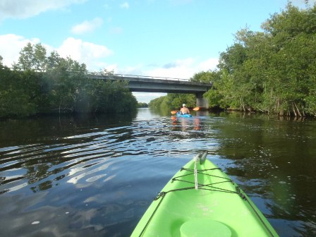 paddling The Everglades, Flamingo, kayak, canoe