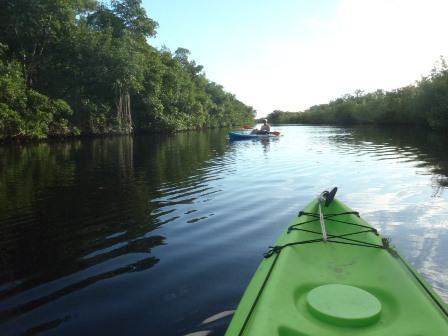 paddling The Everglades, Flamingo, kayak, canoe