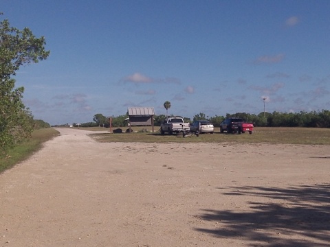 paddling Everglades, Halfway Creek, kayak, canoe