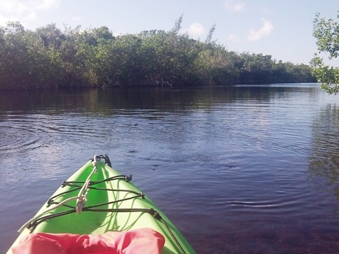 paddling Everglades, Halfway Creek, kayak, canoe