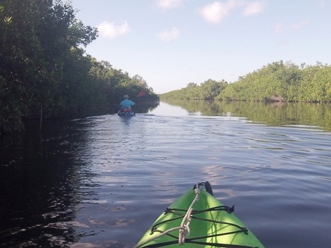 paddling Everglades, Halfway Creek, kayak, canoe