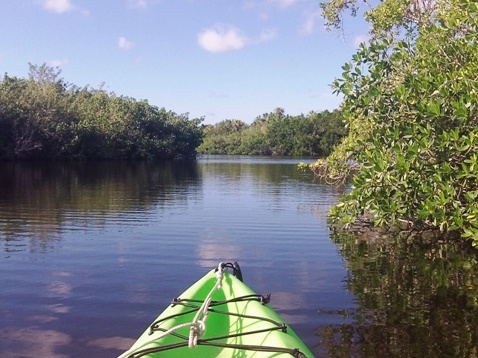 paddling Everglades, Halfway Creek, kayak, canoe