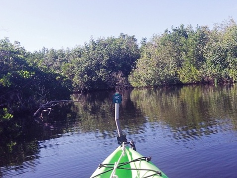 paddling Everglades, Halfway Creek, kayak, canoe