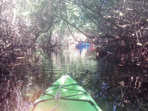 paddling Everglades, Halfway Creek, kayak, canoe