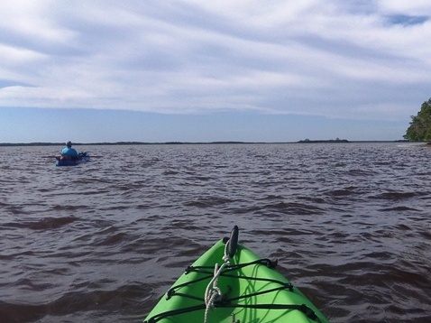 paddling Everglades, Halfway Creek, kayak, canoe