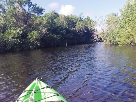 paddling Everglades, Halfway Creek, kayak, canoe