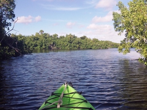 paddling Everglades, Halfway Creek, kayak, canoe