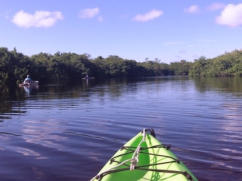 paddling Everglades, Halfway Creek, kayak, canoe