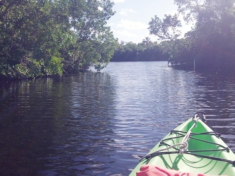 paddling Everglades, Halfway Creek, kayak, canoe