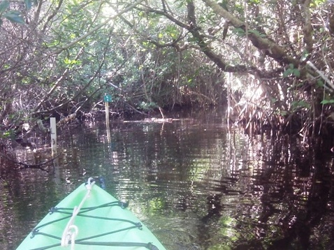 paddling Everglades, Halfway Creek, kayak, canoe