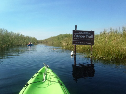 paddling Everglades, Loxahatchee NWR, kayak, canoe