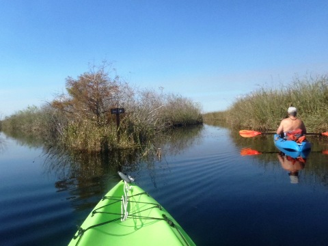 paddling Everglades, Loxahatchee NWR, kayak, canoe