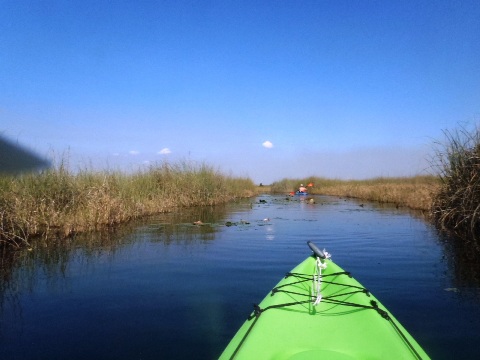 paddling Everglades, Loxahatchee NWR, kayak, canoe