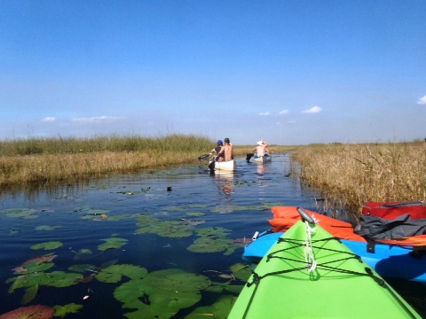 paddling Everglades, Loxahatchee NWR, kayak, canoe