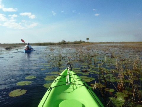 paddling Everglades, Loxahatchee NWR, kayak, canoe