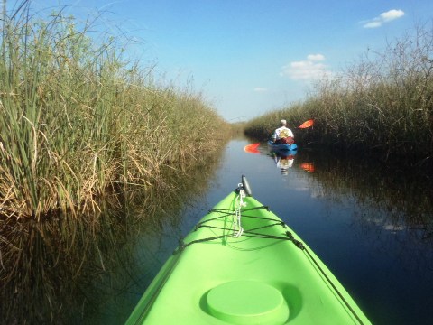 paddling Everglades, Loxahatchee NWR, kayak, canoe