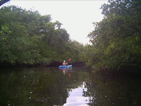 paddling Everglades, Blackwater Paddling Trail, kayak, canoe