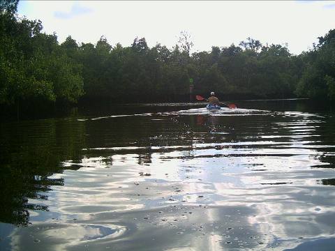 paddling Everglades, Blackwater Paddling Trail, kayak, canoe