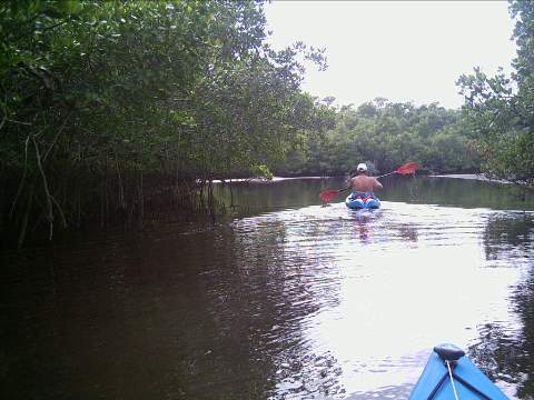 paddling Everglades, Blackwater Paddling Trail, kayak, canoe