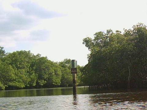 paddling Everglades, Blackwater Paddling Trail, kayak, canoe