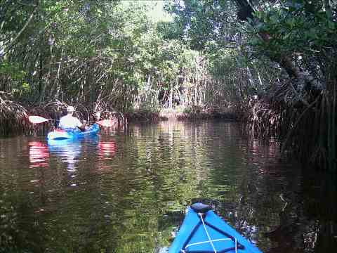 paddling Everglades, Blackwater Paddling Trail, kayak, canoe