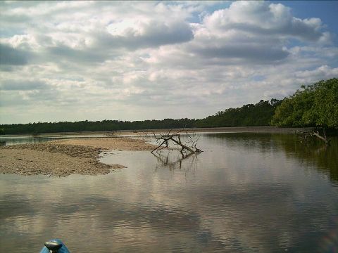 Collier-Seminole State Park, Mud Bay, Florida