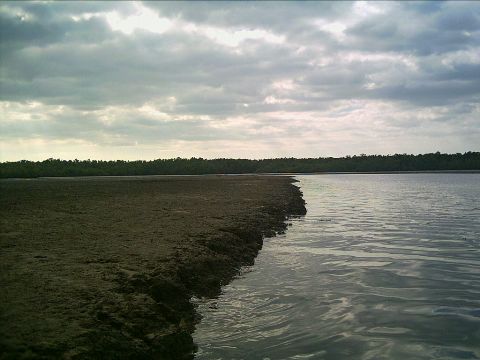 paddling Everglades, Mud Bay, kayak, canoe