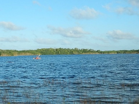 paddling Everglades, Nine Mile Pond, kayak, canoe