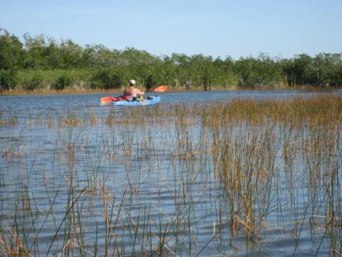 paddling Everglades, Nine Mile Pond, kayak, canoe