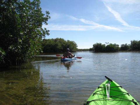 paddling Everglades, Nine Mile Pond, kayak, canoe