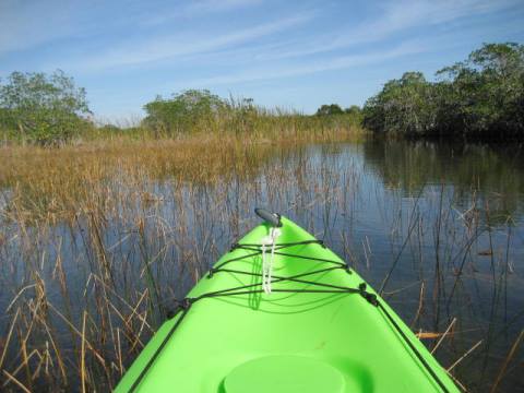 paddling Everglades, Nine Mile Pond, kayak, canoe