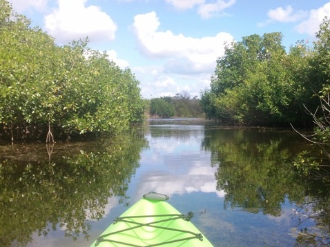 Turner River