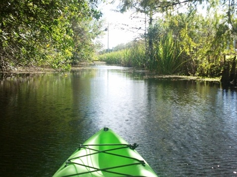 paddling Turner River, kayak, canoe