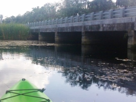 paddling Turner River, kayak, canoe