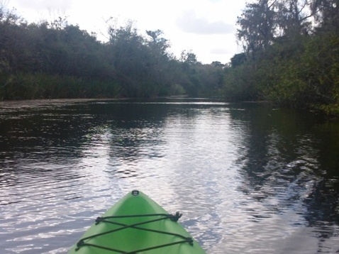 paddling Turner River, kayak, canoe