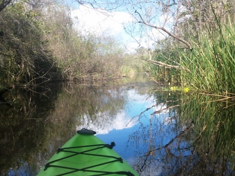 paddling Turner River, kayak, canoe