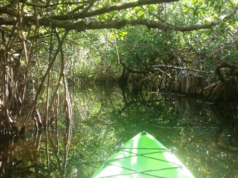 paddling Turner River, kayak, canoe