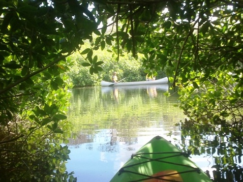 paddling Turner River, kayak, canoe