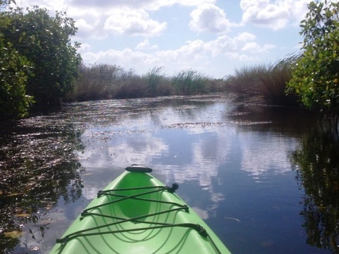 paddling Turner River, kayak, canoe