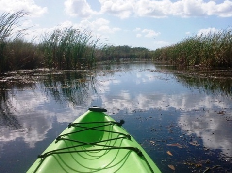 paddling Turner River, kayak, canoe