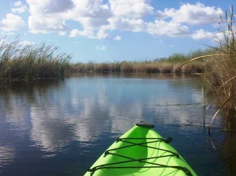 paddling Turner River, kayak, canoe