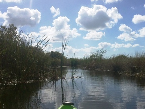 paddling Turner River, kayak, canoe