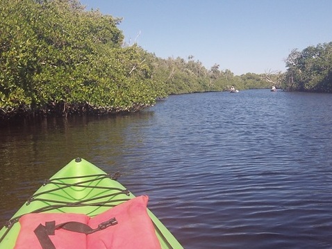 paddling Turner River, kayak, canoe