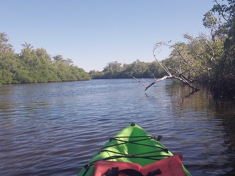 paddling Turner River, kayak, canoe