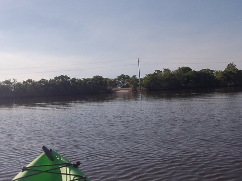 paddling Turner River, kayak, canoe