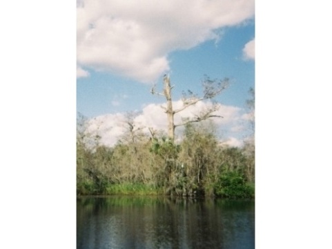 paddling Turner River, kayak, canoe