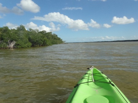 Paddle Everglades, West Lake, kayak, canoe, Florida