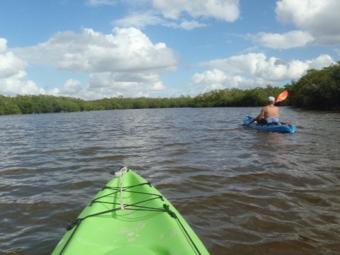 paddling Everglades, West Lake, kayak, canoe