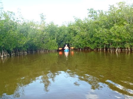 paddling Everglades, West Lake, kayak, canoe