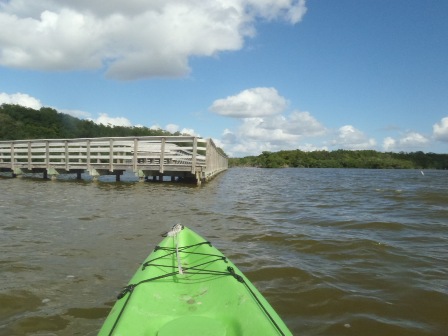 Paddle Everglades, West Lake - Kayak, Canoe